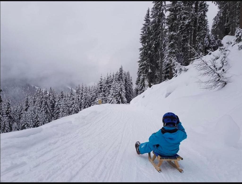 Lieblingsplatz - Ski In Und Ski Out See Eksteriør bilde