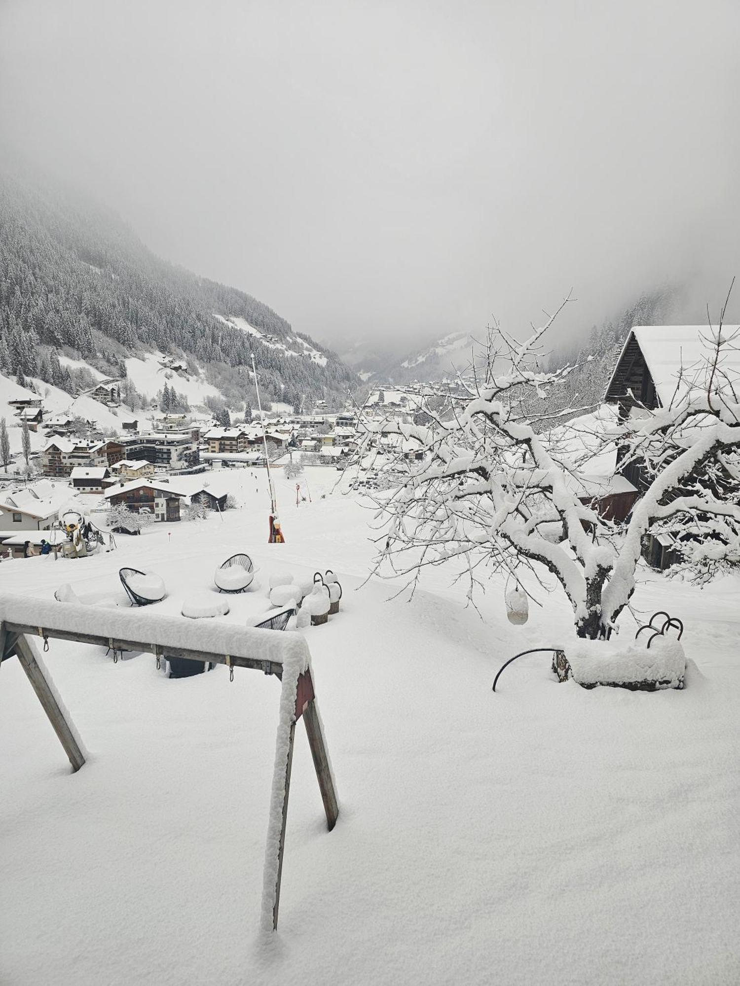 Lieblingsplatz - Ski In Und Ski Out See Eksteriør bilde